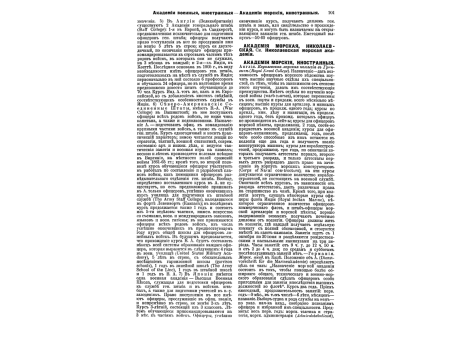Рис.жалон.значка, воткнутого в дуло ружья. (1866г.)
