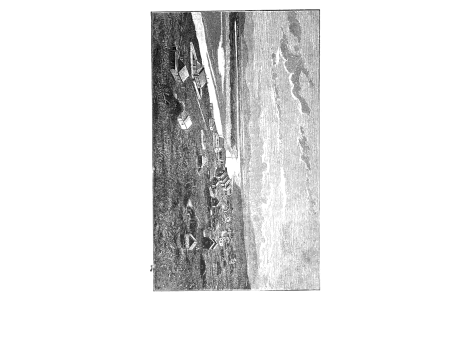 Колония на Беринговом острове в настоящее время.