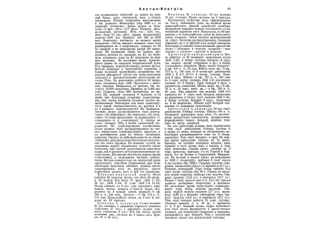 Рис.19. Боевой порядок шведской бригады Густава-Адольфа, состоящей из 3 фирфенлейнов.