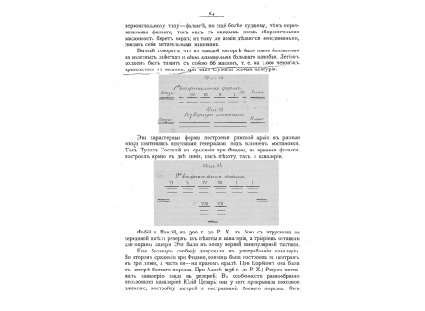 Фиг.12 и 13. Первая когортальная форма. Фиг.14. Вторая когортальная форма.