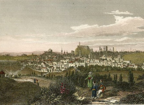 Наконец, мы увидели белеющиеся здания Алеппа