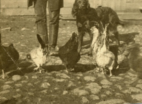 И.Ф. Бухаркин  во дворе