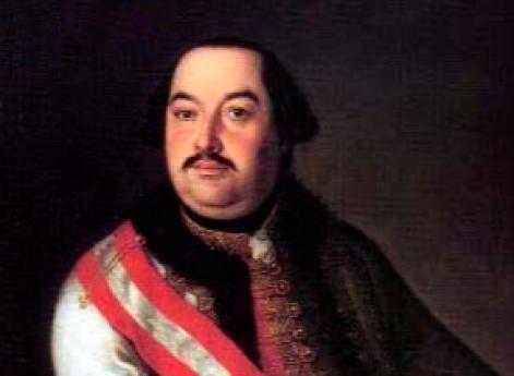 Восторги по поводу удачного предприятия при венском дворе не знали предела.