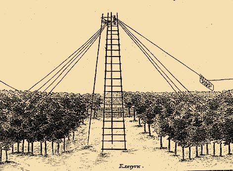 Устройство охраны вишневых садов во Владимире в середине XVIII века.